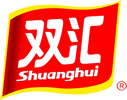 ˫