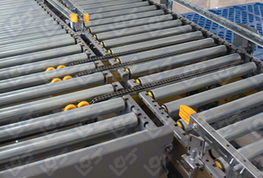 Chain transplanter